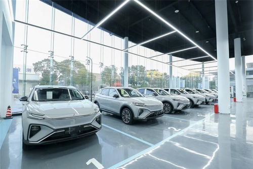 飛凡汽車的非凡服務(wù) 開啟高品質(zhì)個(gè)性化汽車服務(wù)新體驗(yàn)