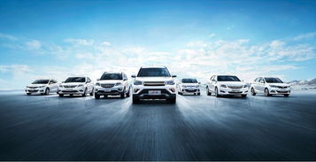 瀘州萬友公司 專業(yè)汽車服務(wù)，值得信賴的合作伙伴