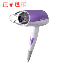 飛科電吹風(fēng)FH6260 專業(yè)護(hù)發(fā)的智能之選
